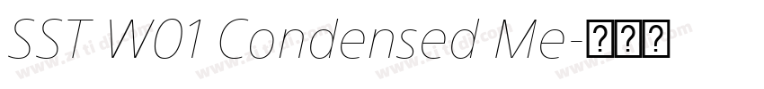 SST W01 Condensed Me字体转换